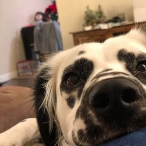 Meet your Posher, Kaylee